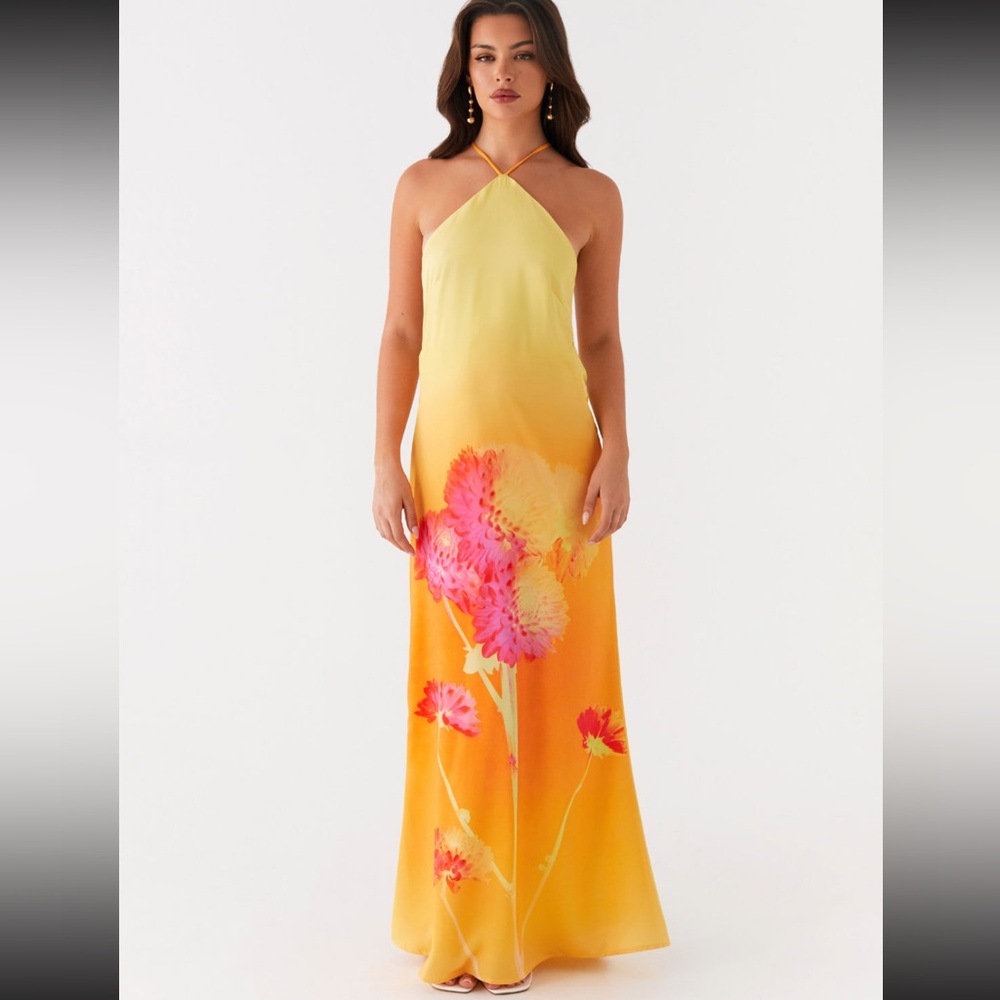 NWT Peppermayo Chloe Floral Maxi Dress - Size 2